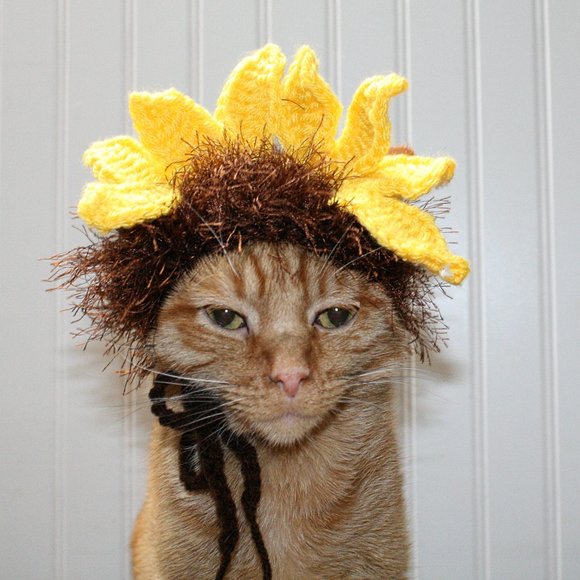 Hand Crafted Other - HAND CRAFTED Floral Sunflower Cat Hat Crochet Hairy Wig Costume Photo Prop